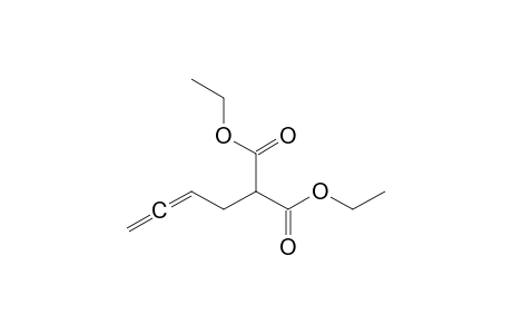 Propanedioic acid, 2,3-butadienyl-, diethyl ester