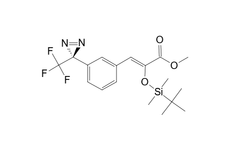 METHYL-(Z)-2-(TERT.-BUTYLDIMETHYLSILYLOXY)-3-[3-[3-(TRIFLUOROMETHYL)-3H-DIAZIRIN-3-YL]-PHENYL]-ACRYLATE