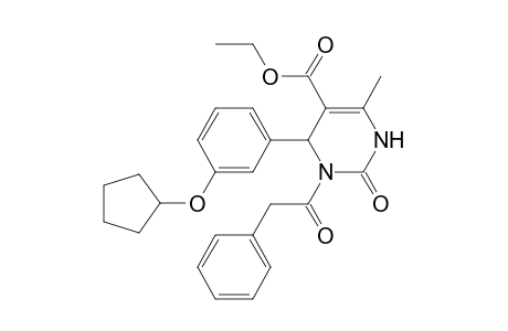 4-(3-cyclopentyloxyphenyl)-6-methyl-2-oxo-3-(1-oxo-2-phenylethyl)-1,4-dihydropyrimidine-5-carboxylic acid ethyl ester