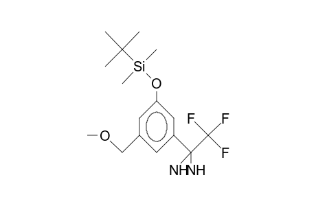 (<3-(T-Butyl-dimethyl-silyloxy)-5-(methoxymethyl)>-phenyl)-3-trifluoromethyl-3H-diaziridine