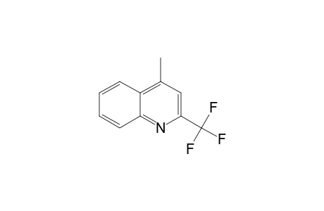 4-Methyl-2-(trifluoromethyl)quinoline