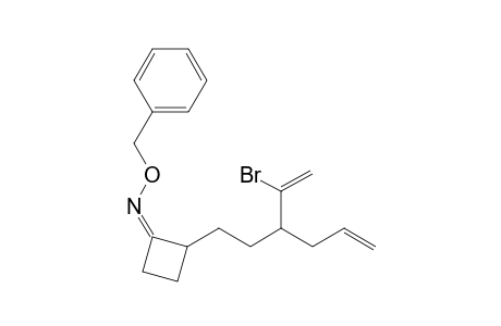 (Z)-2-[3'-(1''-bromoethenyl)hex-5'-enyl]cyclobutanone O-benzyloxime