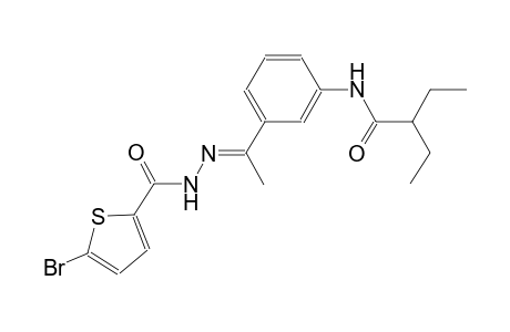 N-(3-{(1E)-N-[(5-bromo-2-thienyl)carbonyl]ethanehydrazonoyl}phenyl)-2-ethylbutanamide