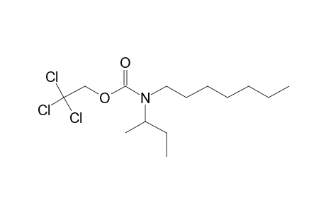 Carbamic acid, N-(2-butyl)-N-heptyl-, 2,2,2-trichloroethyl ester