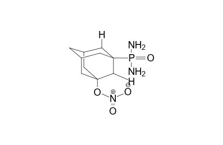 1-NITROXY-3-DIAMIDOPHOSPHORYLADAMANTANE