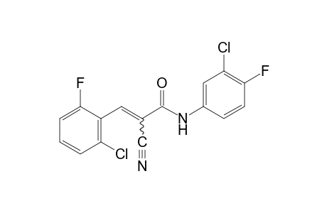 alpha-cyano-2,3'-dichloro-4',6-difluorocinnamanilide