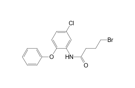 4-Bromanyl-N-(5-chloranyl-2-phenoxy-phenyl)butanamide