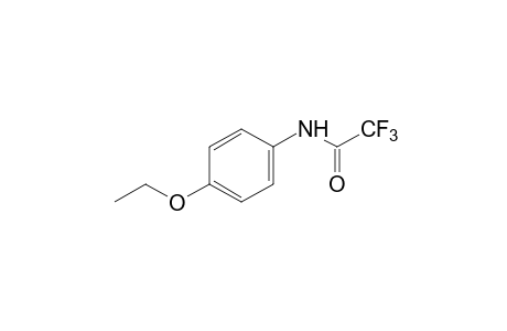 2,2,2,-trifluoro-p-acetophenetidide