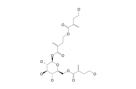 TULIPOSIDE-E;1-[4-(4-HYDROXY-2-METHYLENEBUTANOATE)-2-METHYLENEBUTANOATE]-6-(4-HYDROXY-2-METHYLENEBUTANOATE)-BETA-D-GLUCOPYRANOSE