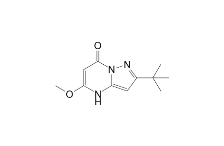 2-tert-Butyl-5-methoxy-4,7-dihydropyrazolo[1,5-a]pyrimidin-7-one