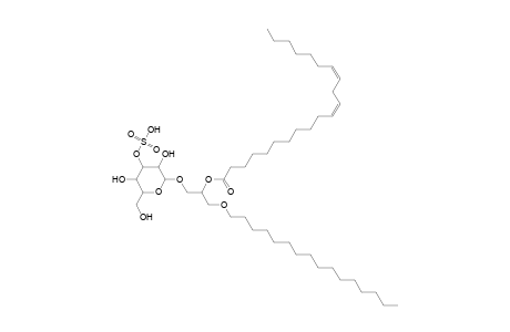 SMGDG O-16:0_21:2