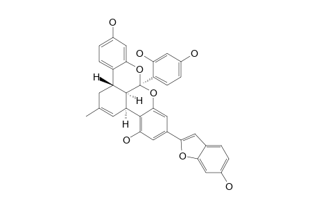 MULBERROFURAN-G