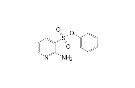 Phenyl 2-Aminopyidine-3-sulfonate