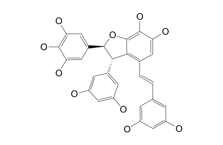 SCIRPUSIN-C;(2-S,3-S)-6,7-DIHYDROXY-3-(3,5-DIHYDROXYPHENYL)-2-(3,4,5-TRIHYDROXYPHENYL)-4-(3,5-DIHYDROXYSTYRYL)-2,3-DIHYDROBENZOFURAN