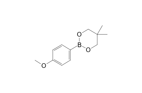 2-(4-Methoxyphenyl)-5,5-dimethyl-1,3,2-dioxaborinane