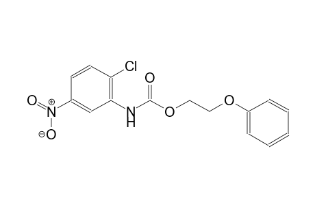 2-phenoxyethyl 2-chloro-5-nitrophenylcarbamate