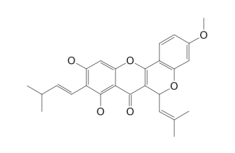 CYCLOARTOCARPIN A