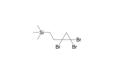 Trimethyl(2-(1,2,2-tribromocyclopropyl)ethyl)silane