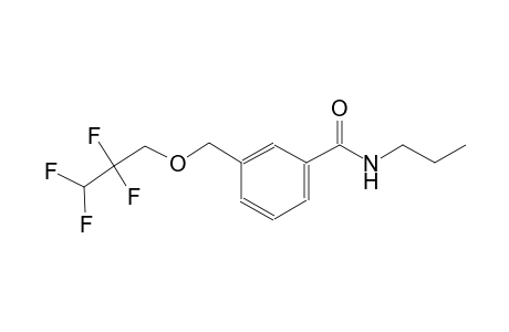 N-propyl-3-[(2,2,3,3-tetrafluoropropoxy)methyl]benzamide