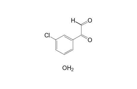 (m-CHLOROPHENYL)GLYOXAL, MONOHYDRATE