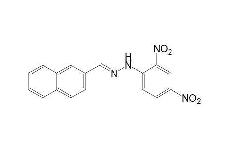 2-Naphthaldehyde, (2,4-dinitrophenyl)hydrazone