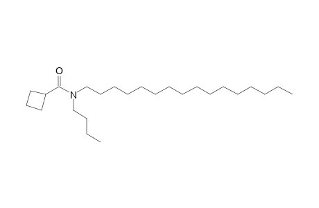 Cyclobutanecarboxamide, N-butyl-N-hexadecyl-