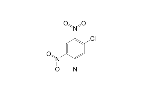 5-Chloro-2,4-dinitrophenylamine