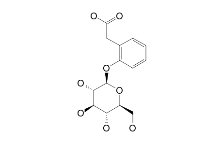 2-CARBOXYLMETHYLPHENOL-1-O-BETA-D-GLUCOPYRANOSIDE