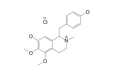 (+/-)-ANNONELLIPTINE-HYDROCHLORIDE;1-(4'-HYDROXYBENZYL)-2-METHYL-5,6-DIMETHOXY-7-HYDROXY-1,2,3,4-TETRAISOQUINOLINE-HYDROCHLORIDE