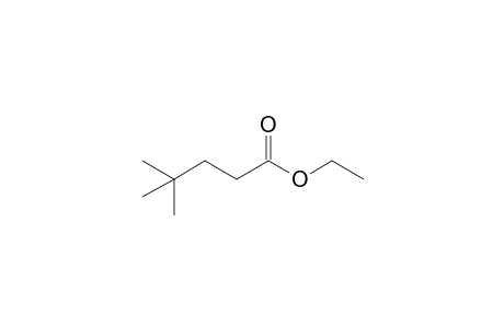 Ethyl 4,4-dimethylpentanoate