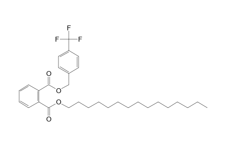 Phthalic acid, 4-trifluoromethylbenzyl pentadecyl ester