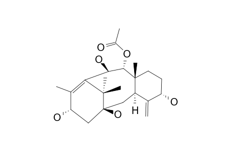 7-DEBENZOYL-10-BETA-HYDROXY-BREVIFOLIOL