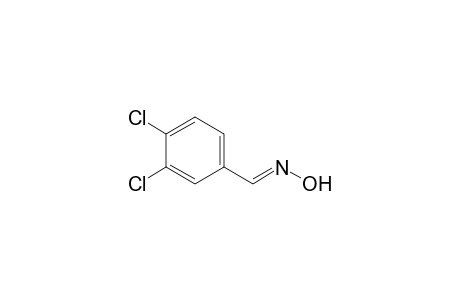 Benzaldehyde, 3,4-dichloro-, oxime