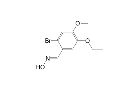 2-bromo-5-ethoxy-4-methoxybenzaldehyde oxime