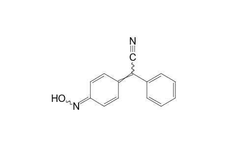 4-oxo-α-phenyl-2,5-cyclohexadiene-delta1, square-acetonitrile, oxime