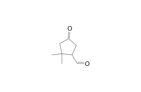 2,2-Dimethyl-4-oxidanylidene-cyclopentane-1-carbaldehyde