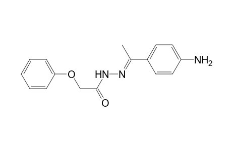 N'-[(E)-1-(4-Aminophenyl)ethylidene]-2-phenoxyacetohydrazide
