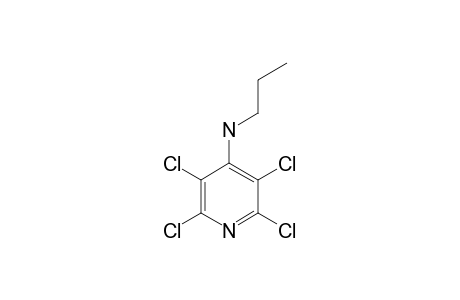 2,3,5,6-TETRACHLORO-4-PROPYLAMINOPYRIDINE