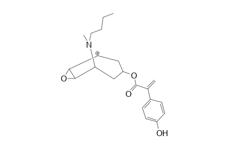 Butylscopolamine-M (HO-aryl-sulfate) MS3_2