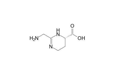 (4S)-2-(Aminomethyl)-4-carboxy-3,4,5,6-tetrahydropyrimidine