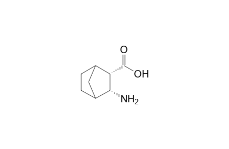 (2S,3R)-3-amino-2-bicyclo[2.2.1]heptanecarboxylic acid