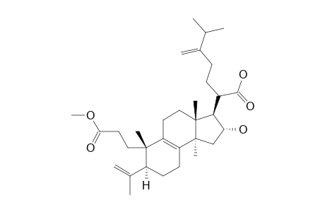 PORICOIC_ACID_HM;METHYL-(20-ZETA)-16-ALPHA-HYDROXY-3,4-SECO-24-METHYL-LANOSTA-4-(28),8,24-(24-(1))-TRIENE-3,21-DIOIC-ACID_3-OATE