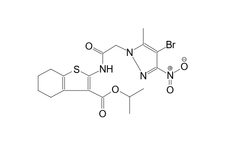 isopropyl 2-{[(4-bromo-5-methyl-3-nitro-1H-pyrazol-1-yl)acetyl]amino}-4,5,6,7-tetrahydro-1-benzothiophene-3-carboxylate