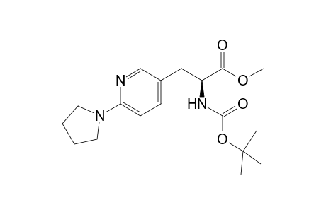 (2S)-[N-(t-Butoxycarbonyl)amino]-3-[6'-(pyrrolidin-1''-yl)pyridine]-propionic acid - Methyl ester