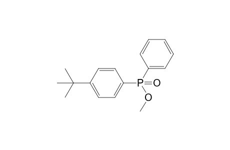 Methyl (4-(tert-butyl)phenyl)(phenyl)phosphinate