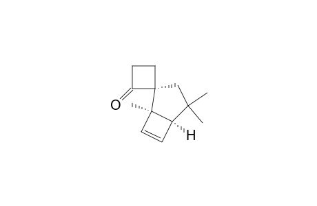 Spiro[bicyclo[3.2.0]hept-6-ene-2,1'-cyclobutan]-2'-one, 1,4,4-trimethyl-, (1.alpha.,2.alpha.,5.alpha.)-