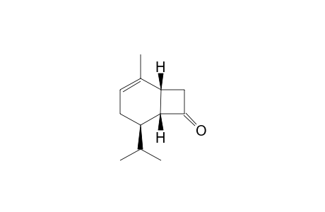 (1R,5R,6R)-5-Isopropyl-2-methyl-bicyclo[4.2.0]oct-2-en-7-one