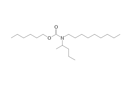 Carbonic acid, monoamide, N-(2-pentyl)-N-nonyl-, hexyl ester