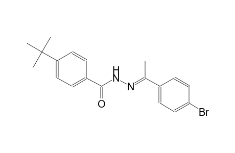 N'-[(E)-1-(4-bromophenyl)ethylidene]-4-tert-butylbenzohydrazide