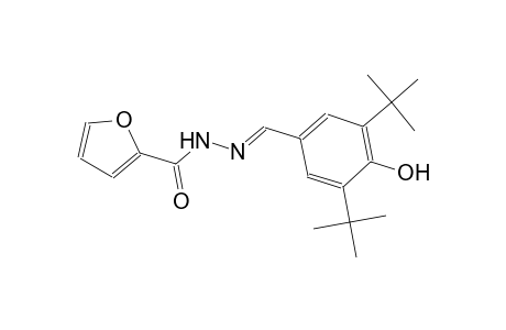 N'-[(E)-(3,5-ditert-butyl-4-hydroxyphenyl)methylidene]-2-furohydrazide